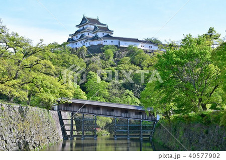 春の和歌山城 40577902