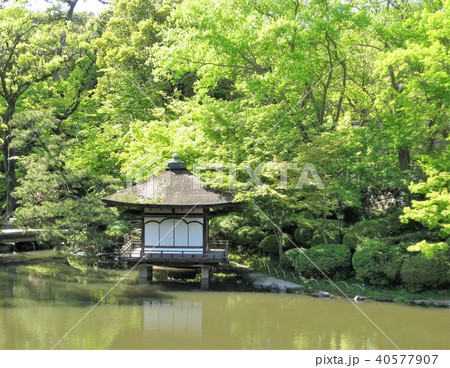 春の和歌山城 40577907