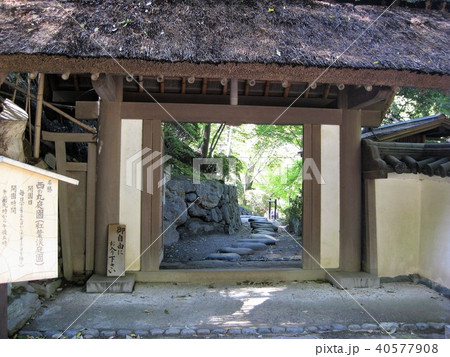 春の和歌山城 40577908