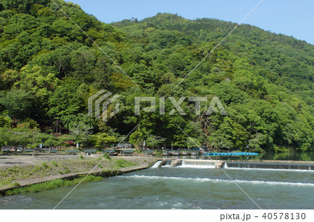 京都 新緑の嵐山 京都 新緑の嵐山 40578130