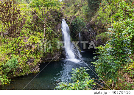 Waterfall on Hawaii 40579416