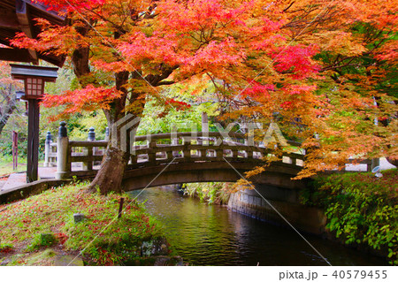 秋の土津神社（福島県・猪苗代町） 40579455