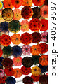 Umbrella ceiling 40579587