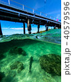 Reef Shark at Green Island 40579596