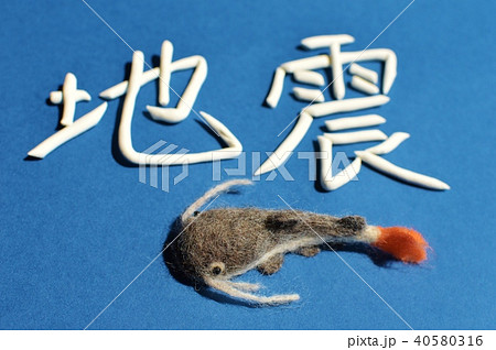 フェルトのなまず 40580316