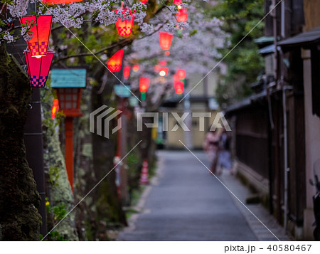 桜が満開の城崎温泉 桜が満開の城崎温泉 40580467