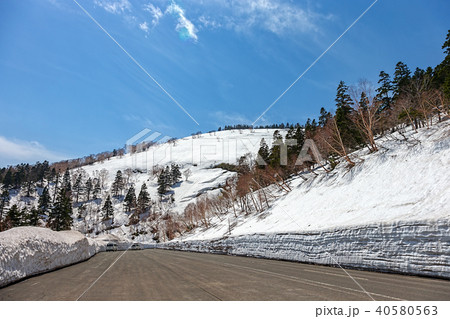 八幡平　(5月　晴れ) 40580563
