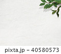 背景-白壁-葉 40580573