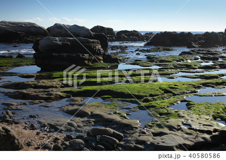 根本海岸 40580586