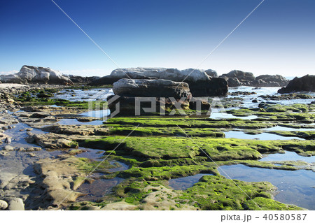 根本海岸 40580587