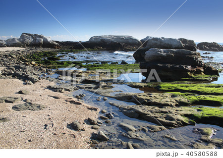 根本海岸 根本海岸 40580588