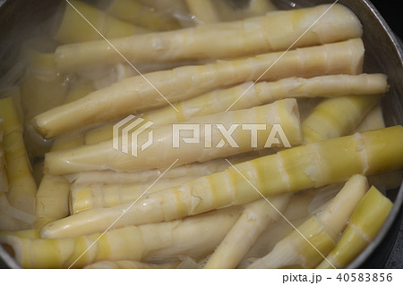 淡竹のタケノコを茹でる 40583856