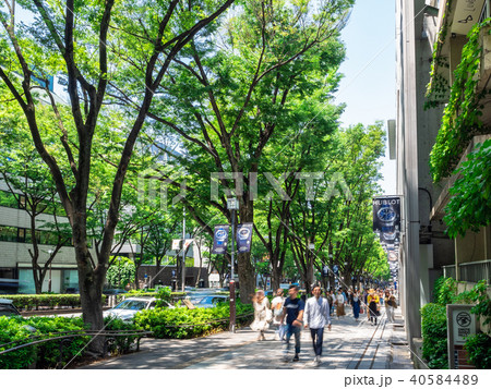 東京　表参道 40584489