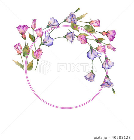 Pink and purple eustoma. Floral botanical flower. Wild spring leaf wildflower frame. 40585128