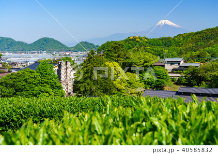 （静岡県）茶畑越しにW世界遺産　韮山反射炉と富士山 40585832