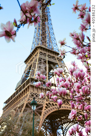 Eiffel Tower Eiffel Tower 40586232