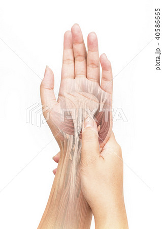 wrist muscle pain 40586665