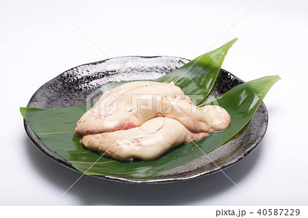 あん肝　食材 40587229