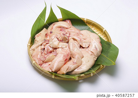 あん肝　食材 40587257