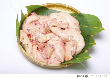 あん肝 食材 あん肝 食材 40587266