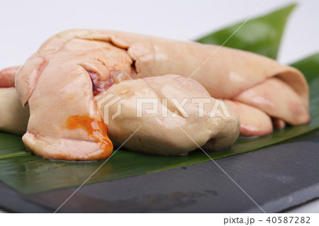 あん肝　食材 40587282