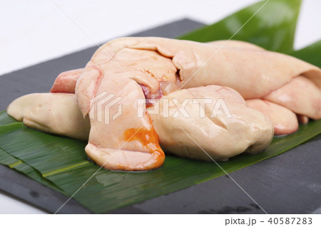 あん肝 食材 あん肝 食材 40587283