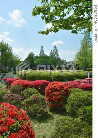 萩原交通公園 萩原交通公園 40587963