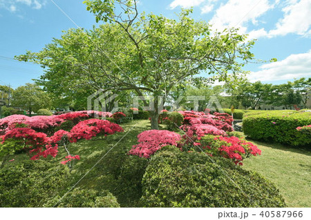 萩原交通公園 40587966