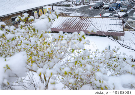 雪に包まれた、神崎いこいの村グリーンエコー笠形（兵庫県神崎郡神河町根宇野）※作品コメント欄に撮影位置 40588083