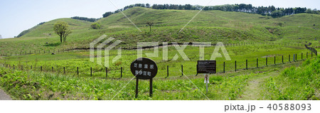 静岡県賀茂郡東伊豆町稲取の細野高原にある芝原湿原 静岡県賀茂郡東伊豆町稲取の細野高原にある芝原湿原 40588093