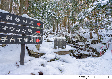グリーンエコー笠形から、氷瀑・扁妙の滝へと続く道。（兵庫県神崎町）※作品コメント欄に撮影位置 40588821