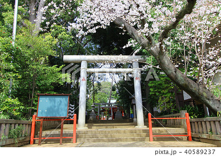 世田谷六所神社 世田谷六所神社 40589237