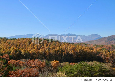 羽鳥湖からの那須連邦(福島県・天栄村) 羽鳥湖からの那須連邦(福島県・天栄村) 40592518