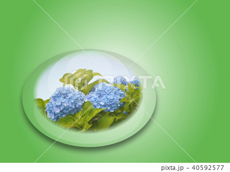 水滴に映る紫陽花のイラスト素材