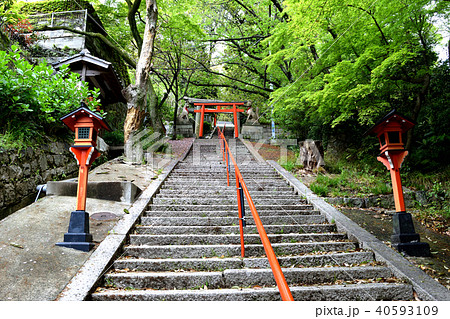 諏訪神社 諏訪山稲荷神社（神戸市中央区諏訪山）の写真素材 [40593109 