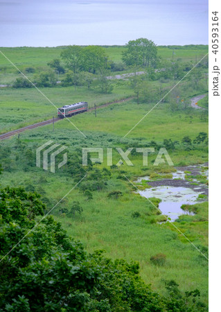 釧網本線 40593164