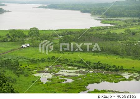 大湿原の釧網本線 大湿原の釧網本線 40593165