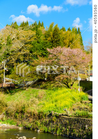 【大分県竹田市】 長湯温泉 【大分県竹田市】 長湯温泉 40593560