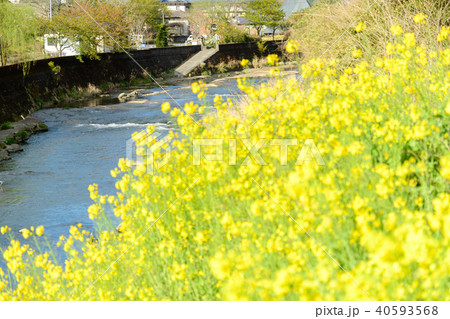 【大分県竹田市】 長湯温泉 【大分県竹田市】 長湯温泉 40593568
