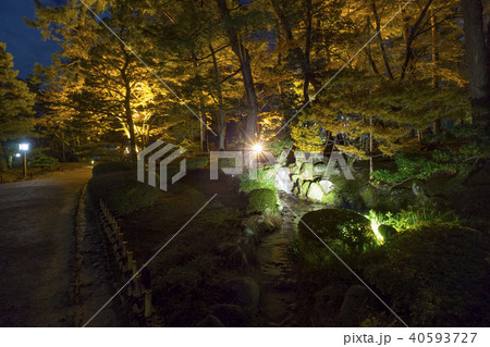 金沢　兼六園ライトアップ　秋の段 40593727