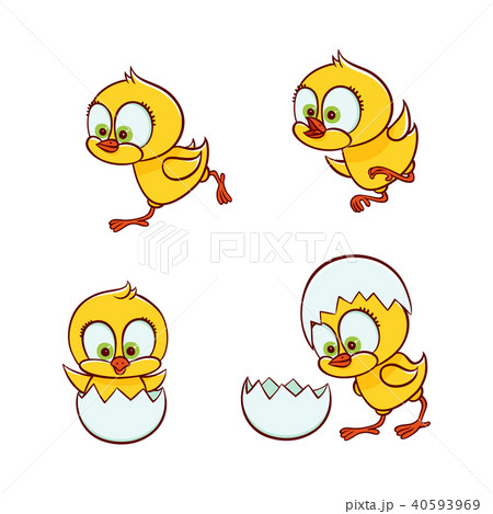 vector flat cute chick hatching from egg set 40593969