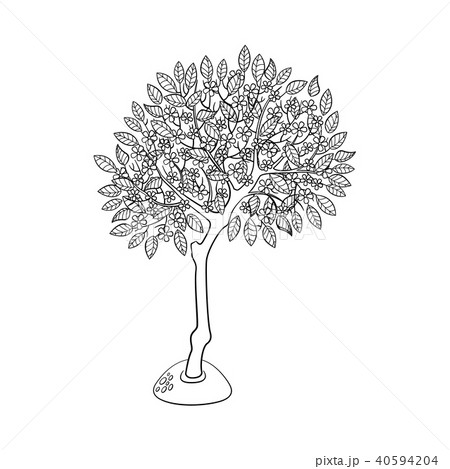 Vector flat green abstract tree with foliage icon Vector flat green abstract tree with foliage icon 40594204