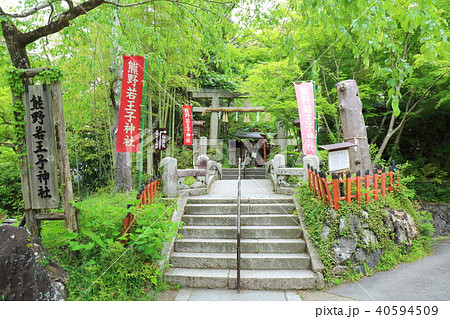 京都　新緑の熊野若王子神社 40594509