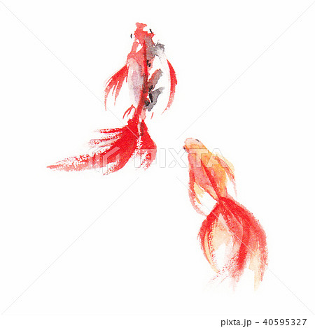 和を感じる背景素材 金魚 水面 青紅葉 のイラスト素材 36030503