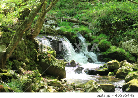 花園渓谷　滝　渓流　北茨城 40595448