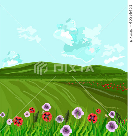 Green fields Vector. Spring background decor Green fields Vector. Spring background decor 40596451