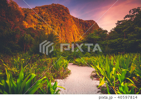 The sand path in the green valley. Phi Phi Island. The sand path in the green valley. Phi Phi Island. 40597814