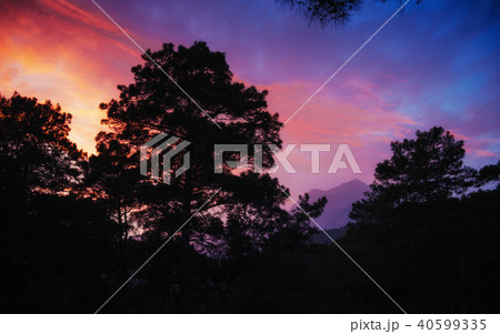 Colorful summer landscape in the Carpathian mountains. Sunset Colorful summer landscape in the Carpathian mountains. Sunset 40599335