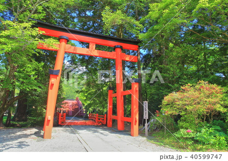 丹生都比売神社　中鳥居 40599747