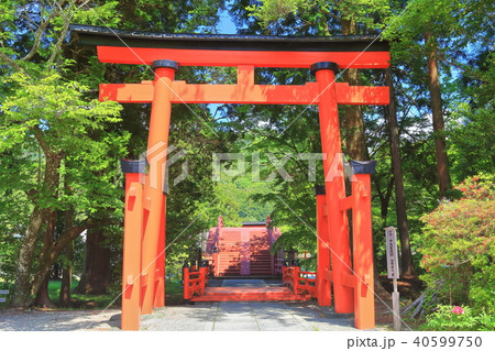 丹生都比売神社 中鳥居 丹生都比売神社 中鳥居 40599750